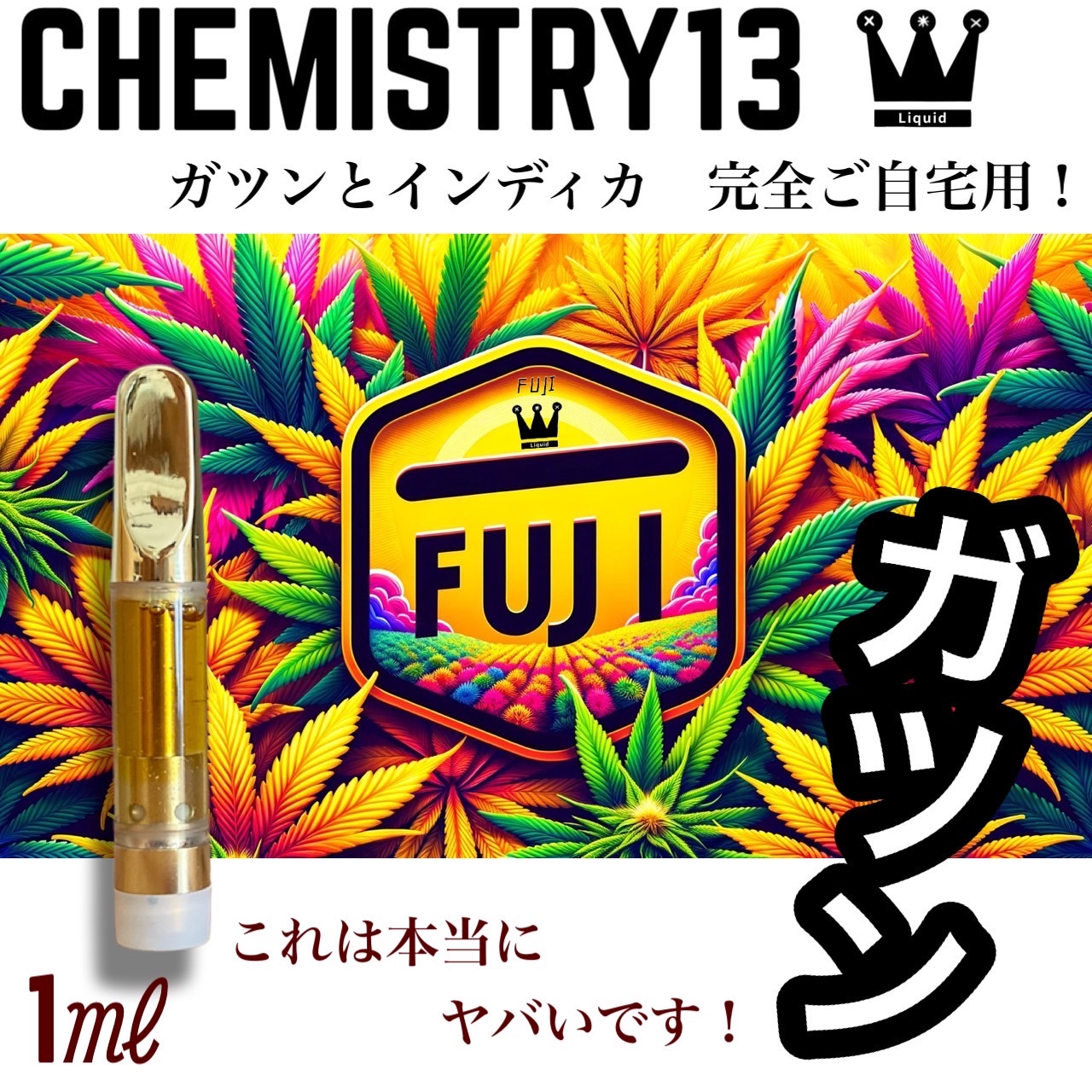 CHEMISTRY13